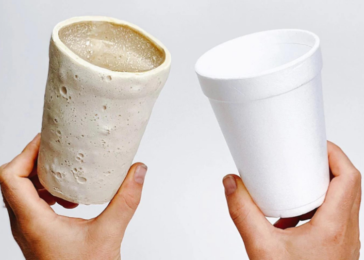 Biodegradable-Styrofoam-Is-Made-From-Plastic-Eating-Mealworms-750x536