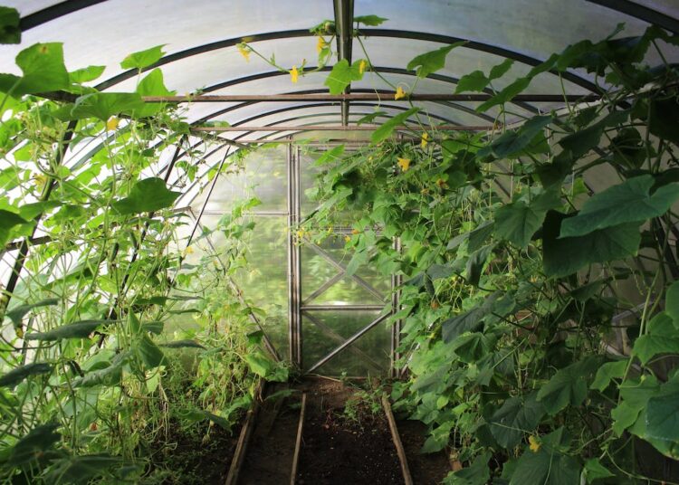 European-horticulture-is-ripe-for-circularity-750x536