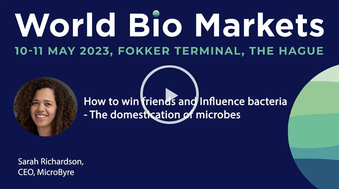 Screen Shot 2023-08-01 at 4-27-56 PM